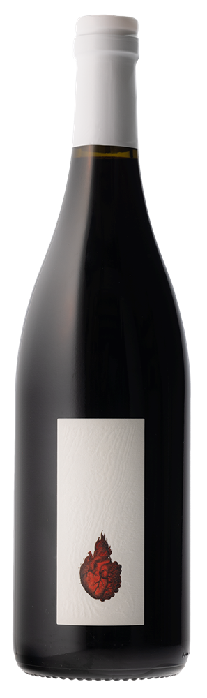 Saorsa ?NO PASAR?N! Syrah Hawkes Bay Syrah 2021