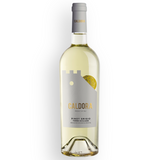 Caldora Pinot Griggio d