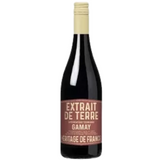 Extrait de Terre Gamay Cotes du Tarn 2023