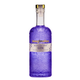 ImaGINation Blueberry Spice 700mL