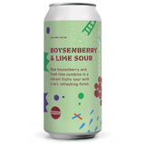 Sawmill Boysenberry & Lime Sour 440mL